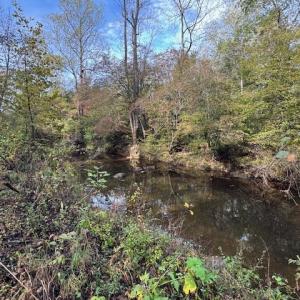 Photo #35 of 827 Wolf Creek Ln, Appomattox, VA 15.3 acres