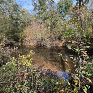 Photo #36 of 827 Wolf Creek Ln, Appomattox, VA 15.3 acres