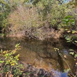 Photo #37 of 827 Wolf Creek Ln, Appomattox, VA 15.3 acres