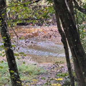 Photo #38 of 827 Wolf Creek Ln, Appomattox, VA 15.3 acres