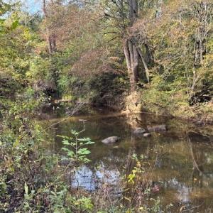 Photo #39 of 827 Wolf Creek Ln, Appomattox, VA 15.3 acres