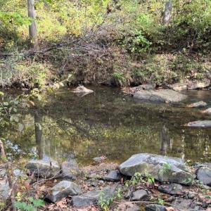 Photo #40 of 827 Wolf Creek Ln, Appomattox, VA 15.3 acres