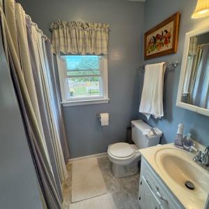 Photo #48 of 827 Wolf Creek Ln, Appomattox, VA 15.3 acres