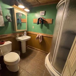 Photo #57 of 827 Wolf Creek Ln, Appomattox, VA 15.3 acres