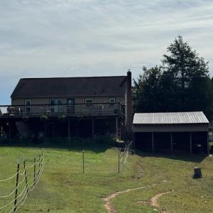 Photo #9 of 827 Wolf Creek Ln, Appomattox, VA 15.3 acres