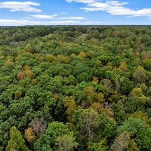 Photo #25 of 2254 GENITO RD, Burkeville, VA 15.9 acres