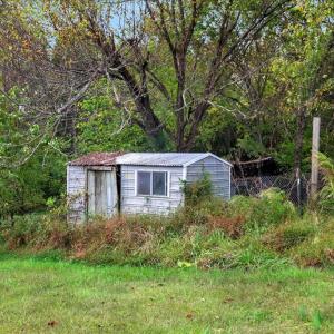 Photo #17 of 2254 S GENITO RD, Burkeville, VA 15.9 acres