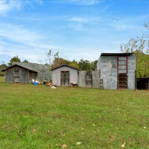 Photo #19 of 2254 S GENITO RD, Burkeville, VA 15.9 acres