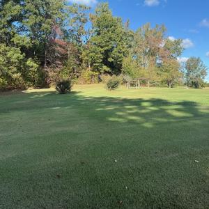 Photo #30 of 200 Jenkins Creek Rd, Cullen, VA 6.8 acres