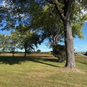 Photo #31 of 200 Jenkins Creek Rd, Cullen, VA 6.8 acres