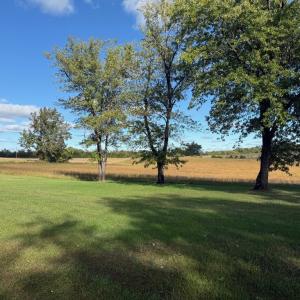 Photo #34 of 200 Jenkins Creek Rd, Cullen, VA 6.8 acres