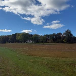 Photo #38 of 200 Jenkins Creek Rd, Cullen, VA 6.8 acres