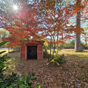 Photo #52 of 221 Virginia, Kenbridge, VA 0.9 acres