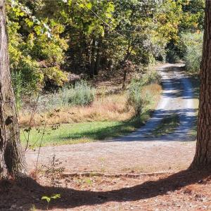 Photo #19 of 28153 N James Madison Hwy, New Canton, VA 3.0 acres