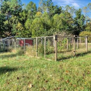 Photo #46 of 848 Paulette Lane, Blackstone, VA 5.0 acres