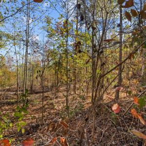 Photo #65 of 2255 Gully Tavern Rd, Rice, VA 8.0 acres