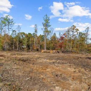 Photo #66 of 2255 Gully Tavern Rd, Rice, VA 8.0 acres