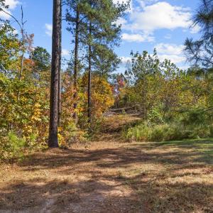 Photo #67 of 2255 Gully Tavern Rd, Rice, VA 8.0 acres