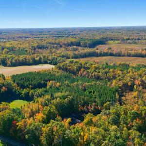 Photo #43 of 781 Green Bay Rd., Green Bay, VA 1.6 acres