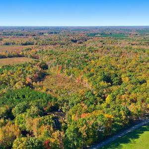 Photo #44 of 781 Green Bay Rd., Green Bay, VA 1.6 acres