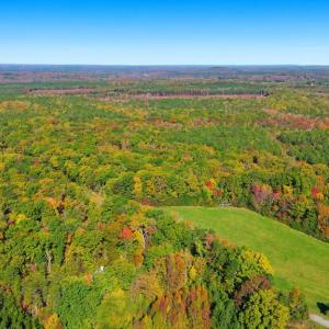 Photo #45 of 781 Green Bay Rd., Green Bay, VA 1.6 acres