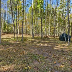 Photo #49 of 8000 Pembelton Dr., Amelia Court House, VA 5.6 acres