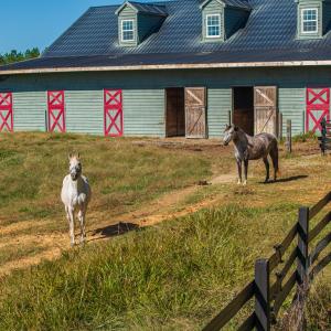 Photo #39 of 5565 Saxkey Road, Saxe, VA 91.3 acres