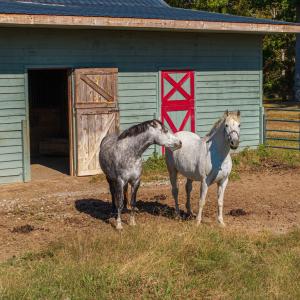 Photo #40 of 5565 Saxkey Road, Saxe, VA 91.3 acres