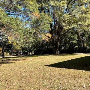 Photo #24 of 941 Saxkey Rd, Drakes Branch, VA 50.0 acres