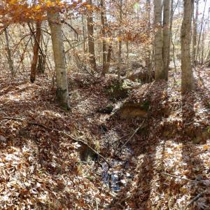Photo #25 of 941 Saxkey Rd, Drakes Branch, VA 50.0 acres