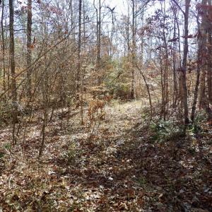 Photo #26 of 941 Saxkey Rd, Drakes Branch, VA 50.0 acres