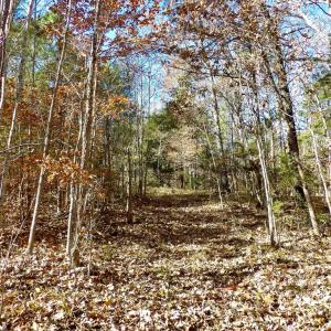Photo #27 of 941 Saxkey Rd, Drakes Branch, VA 50.0 acres
