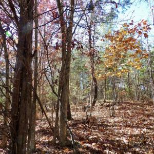 Photo #28 of 941 Saxkey Rd, Drakes Branch, VA 50.0 acres