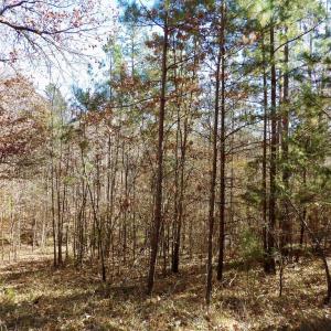 Photo #29 of 941 Saxkey Rd, Drakes Branch, VA 50.0 acres