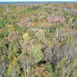 Photo #31 of 941 Saxkey Rd, Drakes Branch, VA 50.0 acres