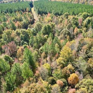 Photo #32 of 941 Saxkey Rd, Drakes Branch, VA 50.0 acres