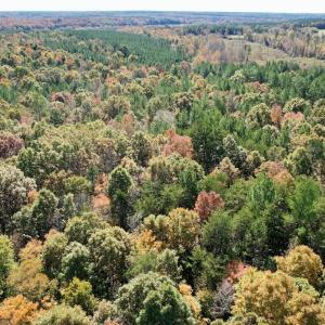 Photo #33 of 941 Saxkey Rd, Drakes Branch, VA 50.0 acres