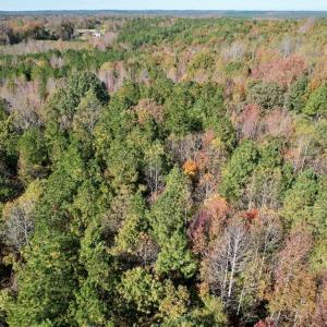 Photo #34 of 941 Saxkey Rd, Drakes Branch, VA 50.0 acres