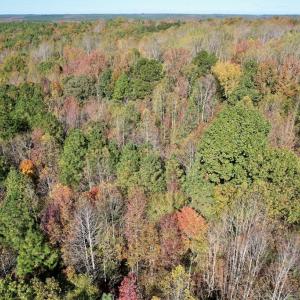 Photo #35 of 941 Saxkey Rd, Drakes Branch, VA 50.0 acres