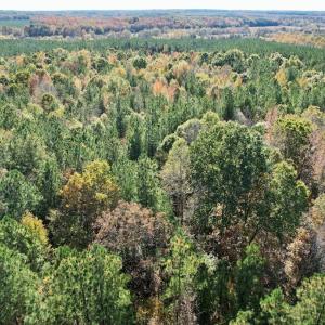 Photo #36 of 941 Saxkey Rd, Drakes Branch, VA 50.0 acres