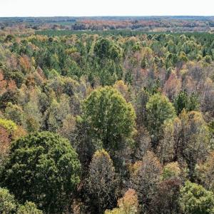 Photo #37 of 941 Saxkey Rd, Drakes Branch, VA 50.0 acres