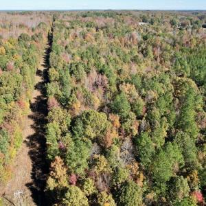 Photo #38 of 941 Saxkey Rd, Drakes Branch, VA 50.0 acres
