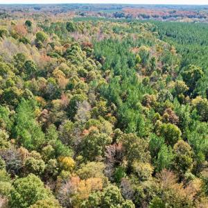 Photo #40 of 941 Saxkey Rd, Drakes Branch, VA 50.0 acres