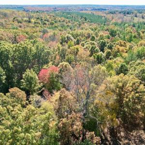 Photo #41 of 941 Saxkey Rd, Drakes Branch, VA 50.0 acres