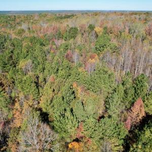 Photo #42 of 941 Saxkey Rd, Drakes Branch, VA 50.0 acres