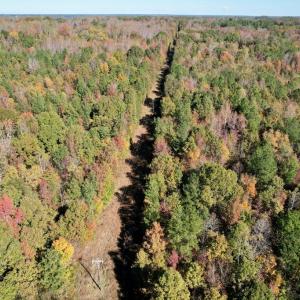 Photo #43 of 941 Saxkey Rd, Drakes Branch, VA 50.0 acres