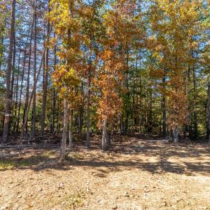 Photo #41 of Lot 26 Layne Street, Farmville, VA 0.1 acres