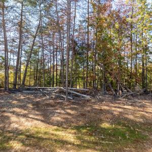 Photo #36 of Lot 25 Layne Street, Farmville, VA 0.1 acres