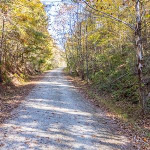 Photo #39 of Lot 25 Layne Street, Farmville, VA 0.1 acres