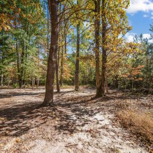 Photo #39 of 2072 Cumberland Rd, Farmville, VA 11.2 acres